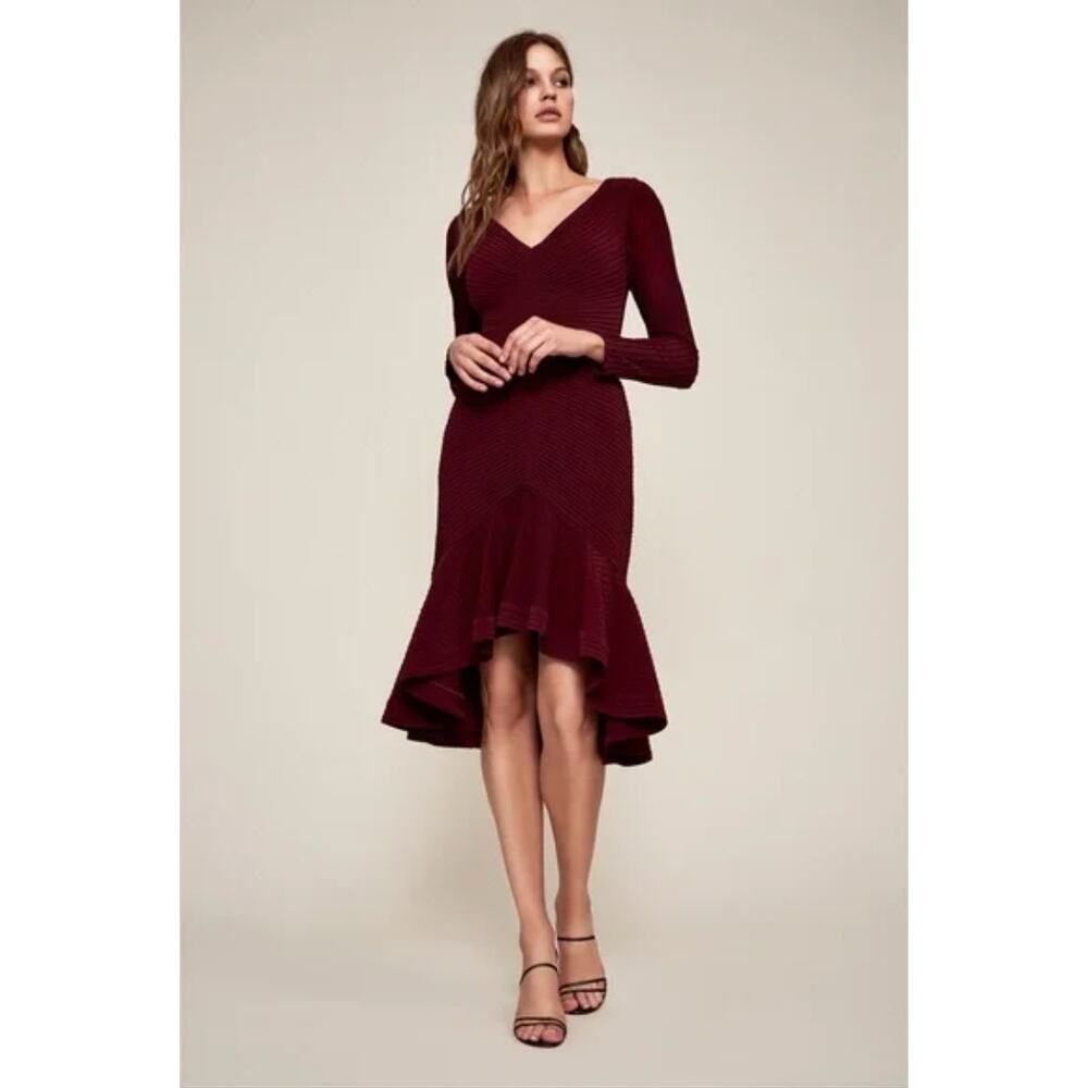Tadashi Shoji Elias Long-Sleeve Pintuck Dress Size XS